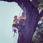 Isaiah Anthony - @tree_guy_810 - Instagram