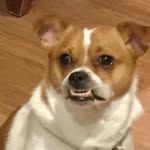 Isaiah Ash - @foaqn - Instagram