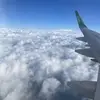 isaias.ayala336 - @isaias.ayala336 - TikTok
