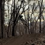 Isaiah Bates - @s.l.i.c.k_h.i.t.s - Instagram