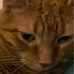 Isaiah Becker - Facebook