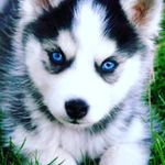 Isaiah Bender - @benderisaiah0 - Instagram