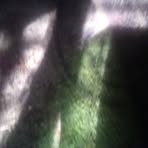 Isaiah Bostick - Facebook
