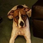 Isaiah Bowers - @bowers_isaiah - Instagram