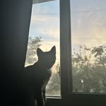 Isaiah Bowman - @thebowman2000 - Instagram