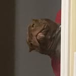 @isaiah_brady_8 - Instagram