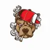 6ixxboss6️⃣❗💯 - @isaiahcaesar42 - TikTok