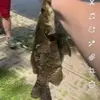 isaiahcain43 - @isaiahcain43 - TikTok