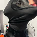 Isaiah Cameron - @isaiahcameron19 - Instagram