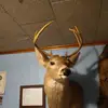isaiahcarroll466 - @isaiahcarroll466 - TikTok