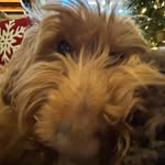 Isaiah C. - @isaiah_case_ - Instagram