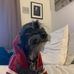 Isaiah Cates - Facebook
