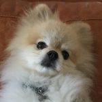 Isaiah Chang - @_isaiahchang_2 - Instagram