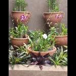 Isaiah Unique Clay Pots - @isaiah_unique_clay_pots - Instagram