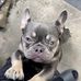 Isaiah Cooper - Facebook