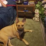 isaiah zuria corbin - @atacorbin49 - Instagram