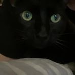 Izaiah Couch - Facebook