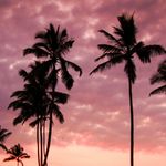 @isaiah.cuevas.20 - Instagram
