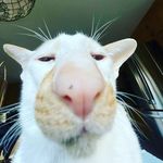 Isaiah cuevas - @isaiahcuevas1 - Instagram