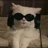 IsaiahCunningham - @danadphtz3o - TikTok