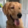 isaiah.devine - @isaiah.devine - TikTok
