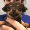 Isaiah Duran - @isaiah.duran02 - TikTok