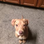 isaiah egan - @zaizaiegan - Instagram
