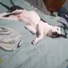 Isaiah Epps 99095632 - @nathaniel7656 - TikTok