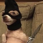 Isaiah Escobar - @isaiahescobar789 - Instagram