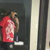 Isaiahevans_4x - @isaiahevans_4x - TikTok
