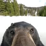 Isaiah Farmer - @isaiah.90713 - Instagram