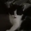 isaiahfausto182 - @isaiahfausto182 - TikTok