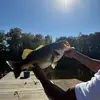 Isaiah Fishes - @isaiahfishes - TikTok