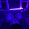 isaiahammond - @isaiahammond - TikTok