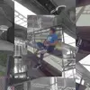 Pietro Henriquez - @isaiah.henriquez8 - TikTok