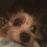 Isaiah Herrera - @isaiah.herrera.3110 - Instagram