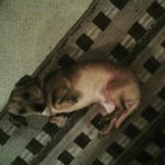 isaiahhofer - @thecoolestboy.come - Instagram