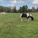 Isaiah Holmes - Facebook