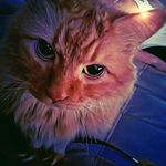 Isaiah Keys - @kingzeke81 - Instagram