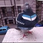 Isaiah Marks - @birdup907 - Instagram