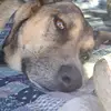 isaiah marsh - @isaiah.marsh8 - TikTok