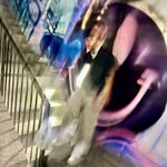 Isaiah Mayhew - @isaiahmayhew_ - Instagram