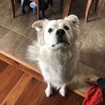 Isaiah McKay - Facebook