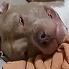 Isaiahs Olguin - @isaiahs.olguin - TikTok