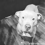 isaiahs perez olguin - @isaiahsperezolguin - Instagram