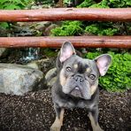 Isaiah Patton - Facebook