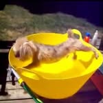 Miami Heat Lover 🏀🏀🏀❤❤❤ - @isaiah_pearson - Instagram