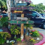 Isaiah Rocha - @isaiah.rocha.330 - Instagram