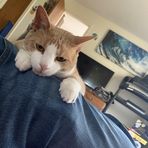 Isaiah Rowe - Facebook