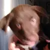 isaiah.rutherford - @isaiah.rutherford - TikTok